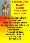 Locandina_lupetto_Black