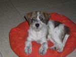 Martina1
