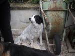 Milly1