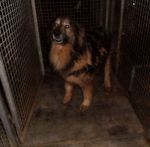 SAM_00341