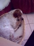 Teo