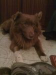 billy3