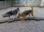 charlie_e_evy1