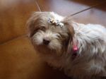 chiara_056_copy
