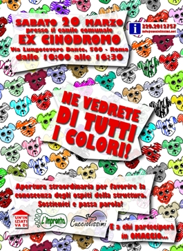 NE VEDRETE DI TUTTI I COLORI!
