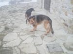 giusiad3