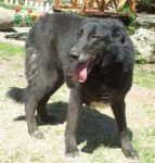 lara-villa-andreina-1
