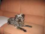 lola3ad_copy
