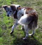 macarena_3