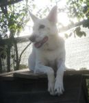 mirta107web