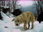 pepita_a_lodano_008_36