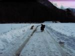 pepita_a_lodano_028_38