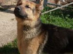 rochy3