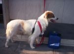 sonia_061