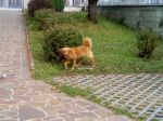 twisteradottato2