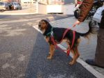 willy_002