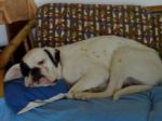 PEGGY-JPG