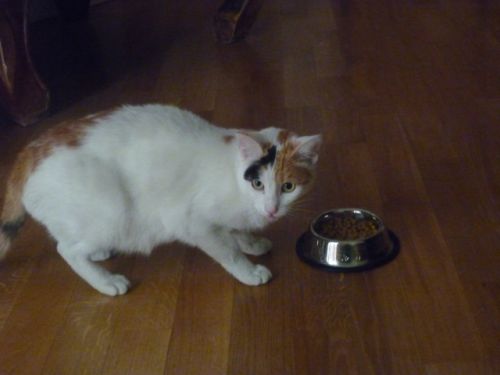 trudy1