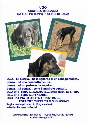 ugo_volantino