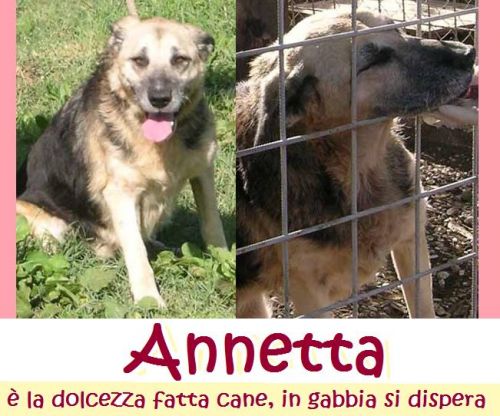 ANNETTA_REC_17
