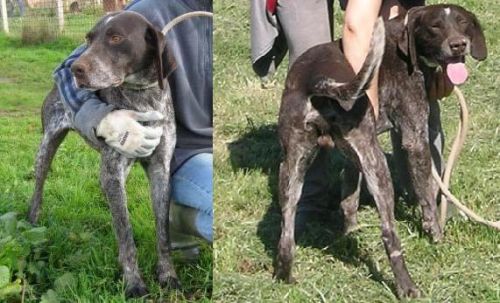 BRACCOBALDO_rec_CE_2011