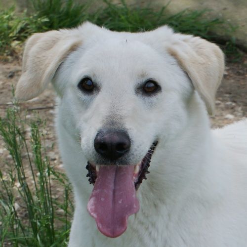 Corinna_valle-dei-cuccioli_1