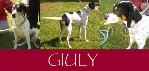 Giuly