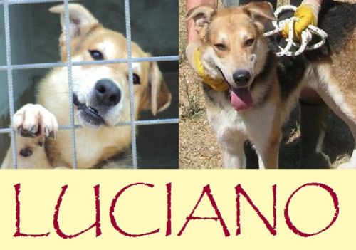 Luciano