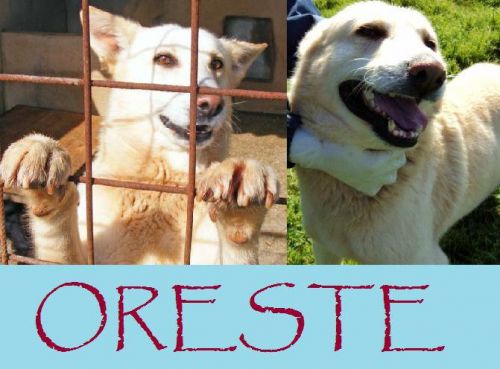 Oreste_box_rec_21