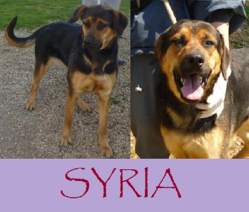 Syria