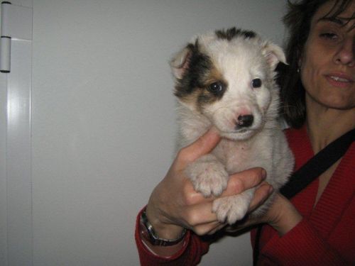 TRUDY