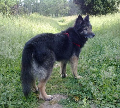 Toto-Antonio-e-Gianna