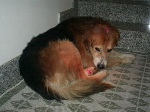 Twister