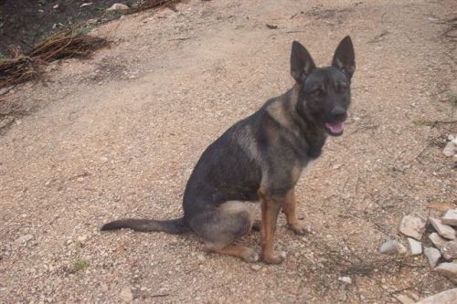 betty_6