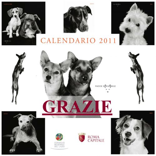calendario2011_copia3