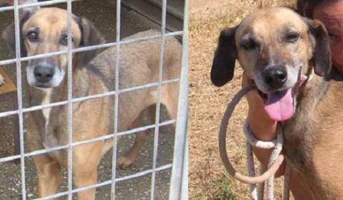 guendalina_appello_2011