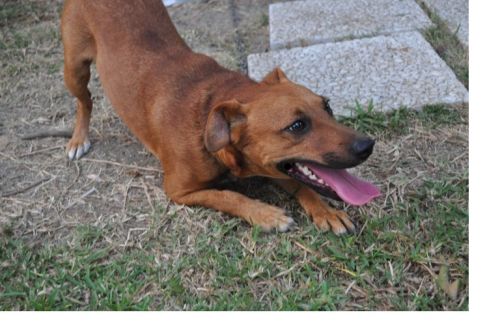 lucky_1_piccola1_480