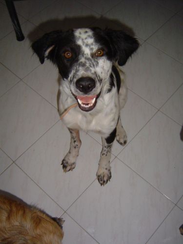 max2