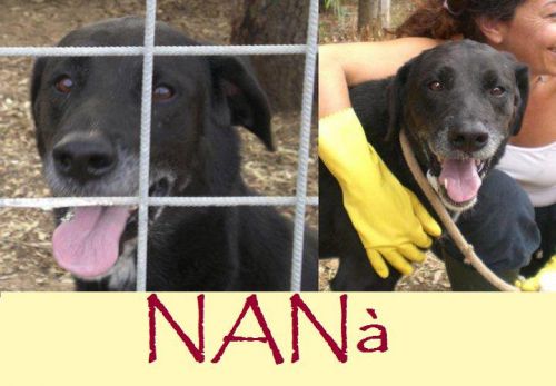 nana_box_rec_15