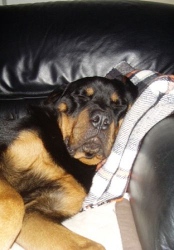 nerone1_714
