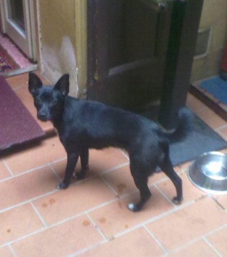 ombra_00