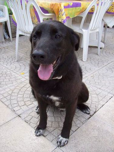 romeo-e-gianluca