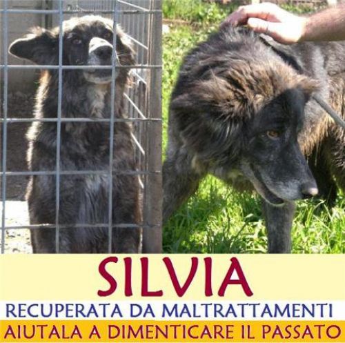 silvia20appello1