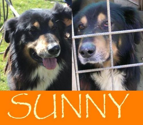 sunny_box_50_copy