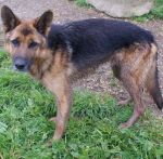 160-09_ex-poverello