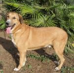 407-08_villa-andreina