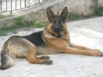 Aska-e-Francesco2