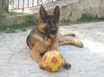 Aska-e-Francesco3