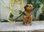 Billo5