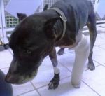 Brad-Pit-post-operatorio